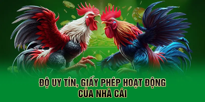 Đá Gà QQ88 – Sân Chơi Cá Cược Được Yêu Thích Hàng Đầu Tại QQ88 1 Độ uy tín, giấy phép hoạt động của nhà cái